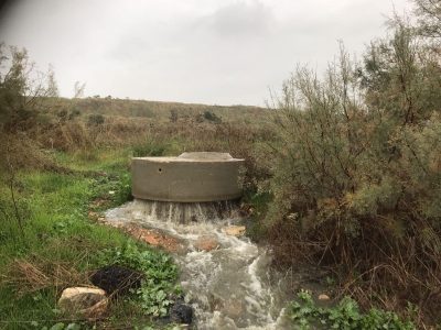 זיהום בקישון