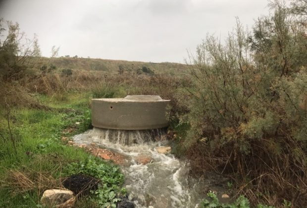 זיהום בקישון